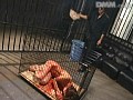 サンプル画像 16