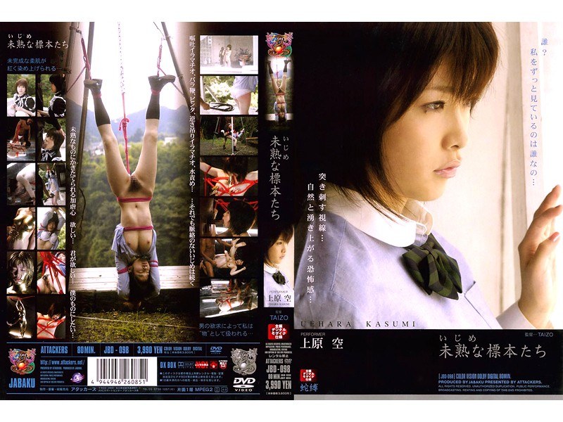 サンプルプレビュー