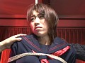 サンプル画像 13