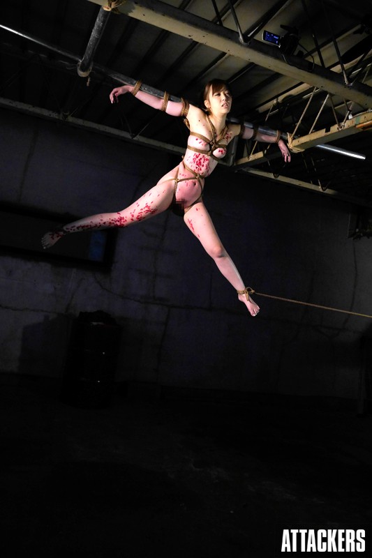 サンプル画像 5