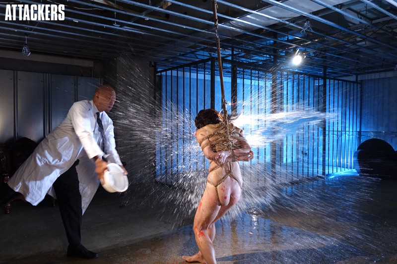 サンプル画像 12