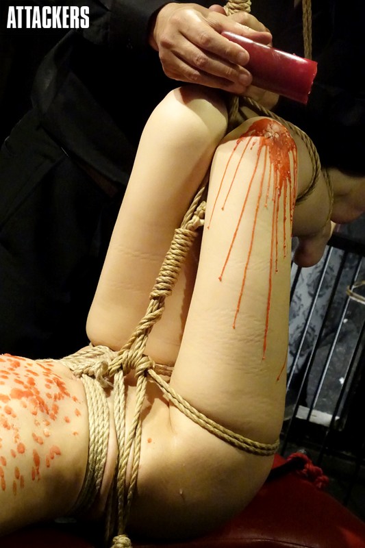 サンプル画像 11