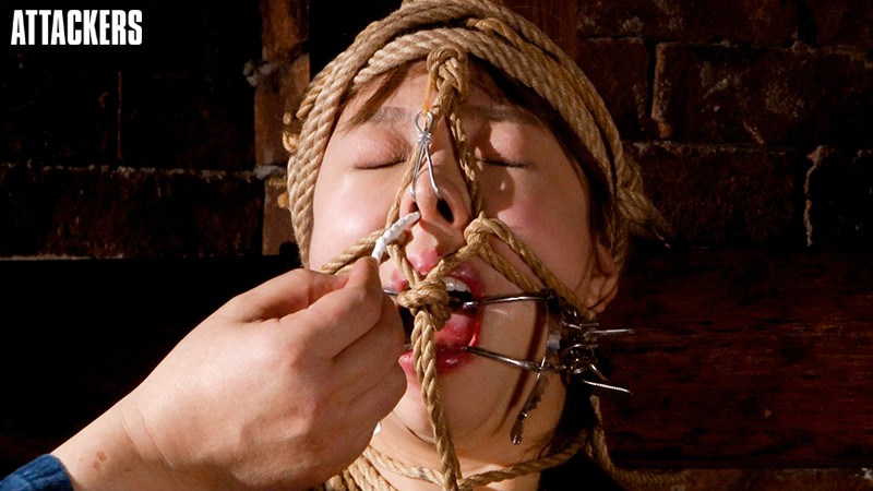 サンプル画像 12