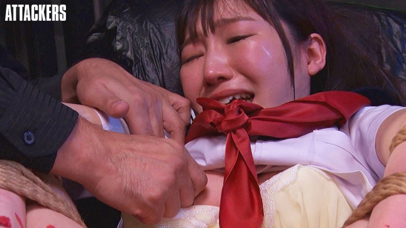 サンプル画像 7