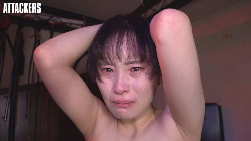 サンプル画像 11