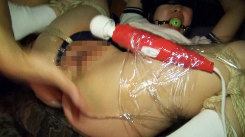 サンプル画像 14