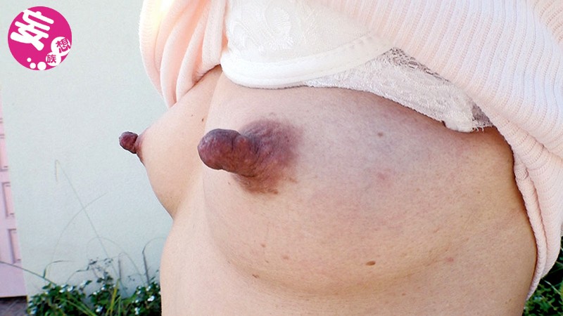 サンプル画像 9