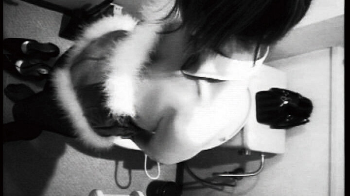 サンプル画像 16