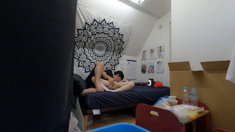 サンプル画像 6