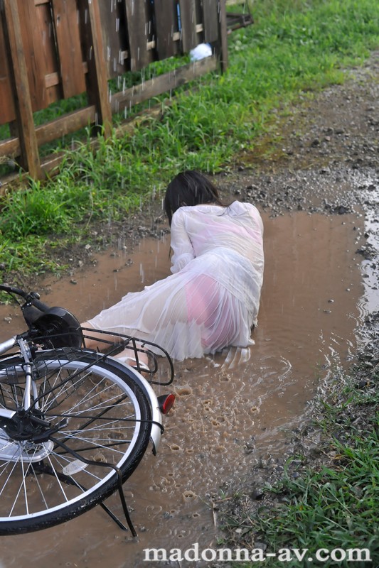 サンプル画像 5