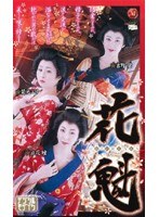 パッケージ画像