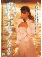 パッケージ画像