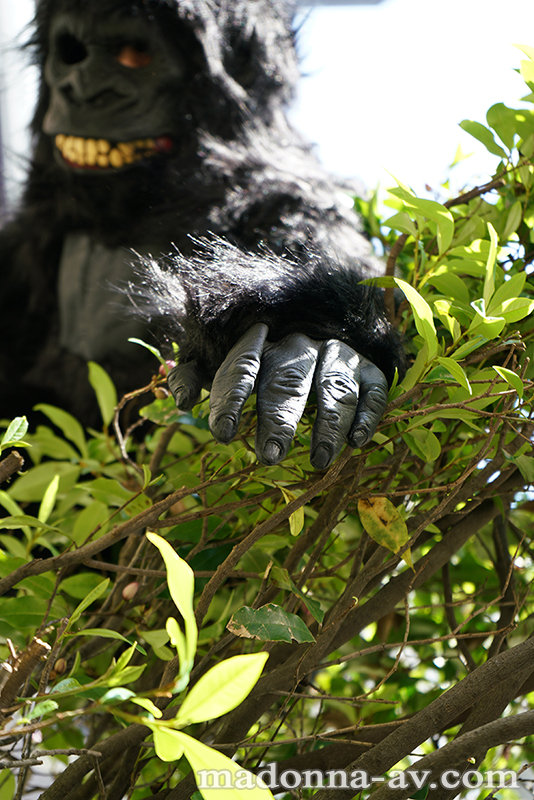 サンプル画像 7