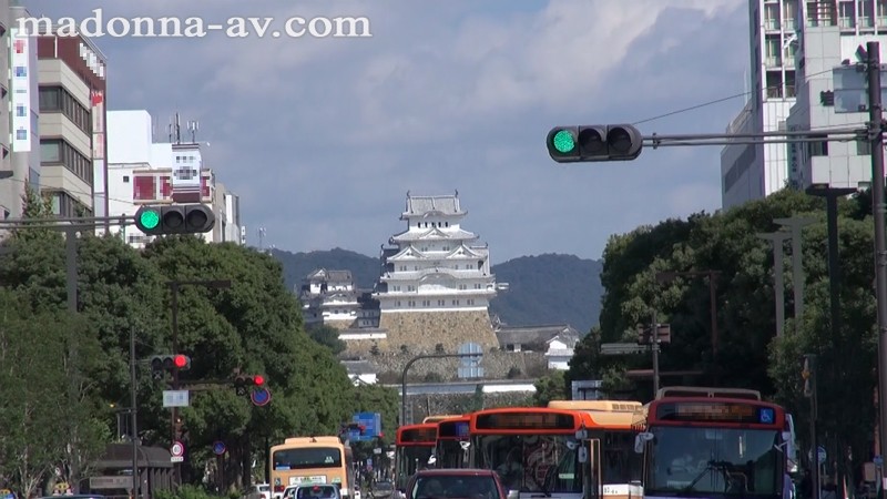 サンプル画像 2