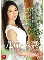 パッケージ画像