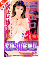 パッケージ画像