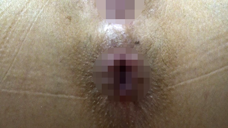 サンプル画像 10