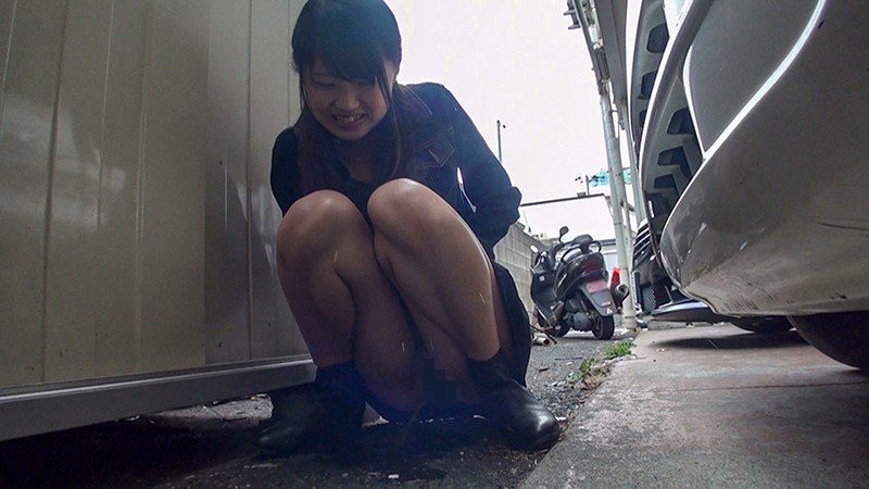 サンプル画像 13