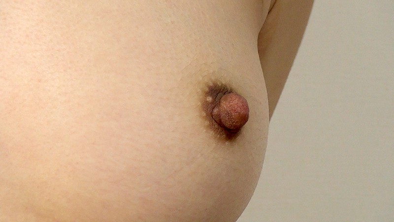 サンプル画像 9