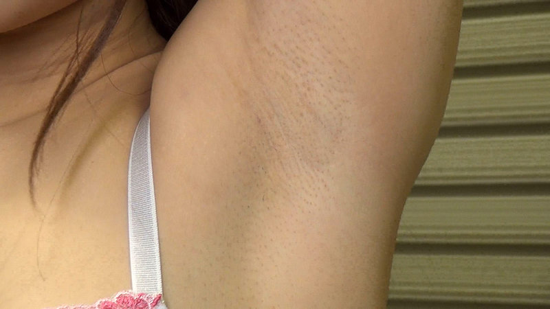 サンプル画像 8