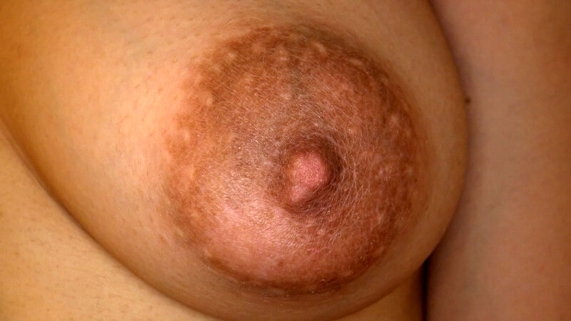 サンプル画像 14