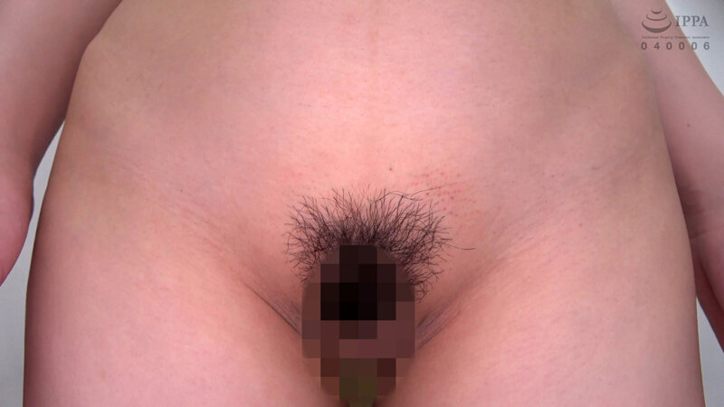 サンプル画像 15