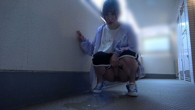 サンプル画像 8