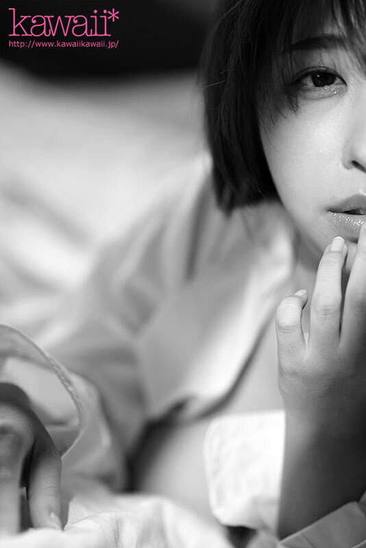 サンプル画像 13