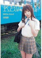 サムネイル画像
