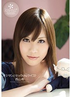 パッケージ画像