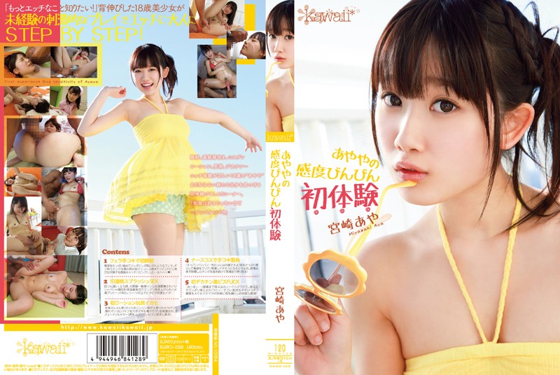 サンプルプレビュー