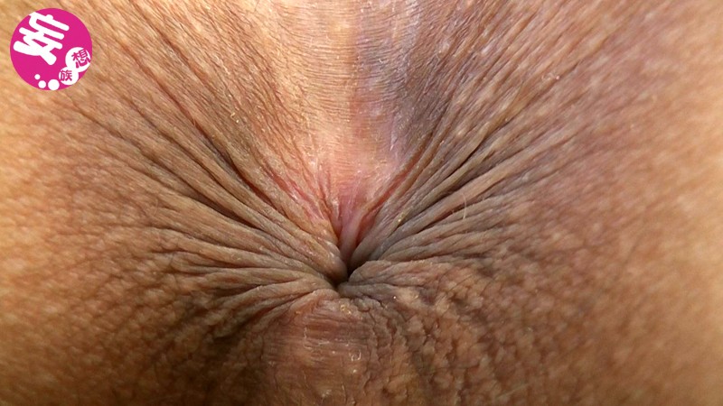 サンプル画像 8