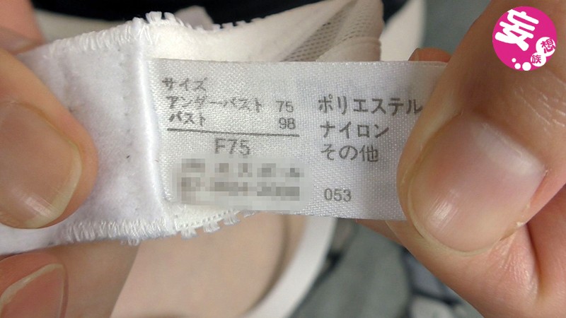 サンプル画像 7