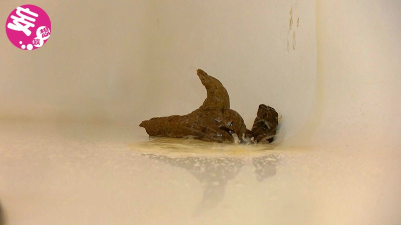 サンプル画像 6