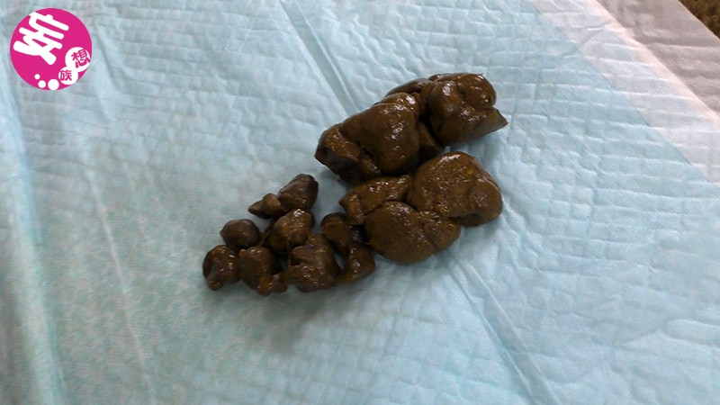 サンプル画像 7