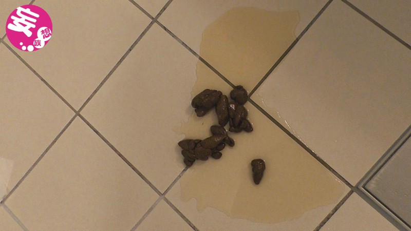 サンプル画像 8