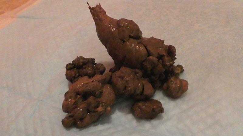 サンプル画像 5