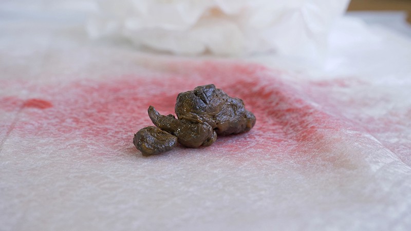 サンプル画像 5