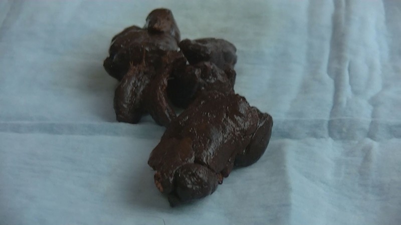 サンプル画像 9