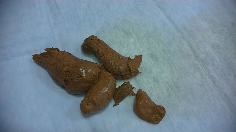 サンプル画像 6