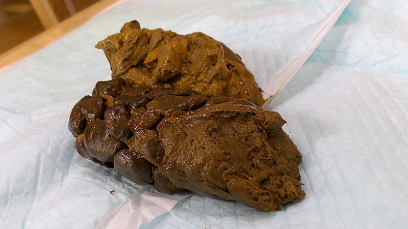 サンプル画像 7