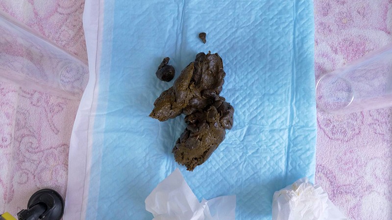 サンプル画像 5