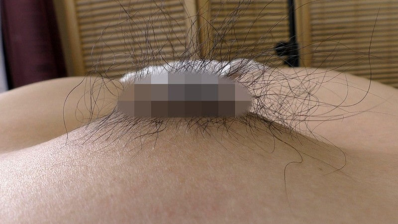 サンプル画像 6