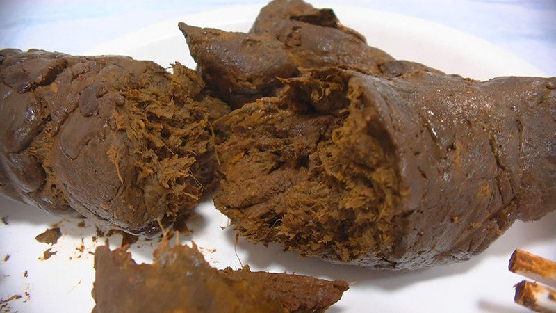 サンプル画像 6