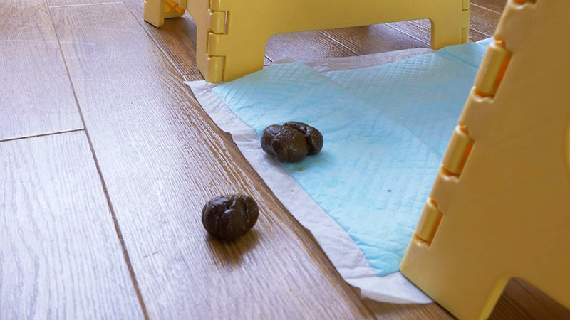 サンプル画像 11