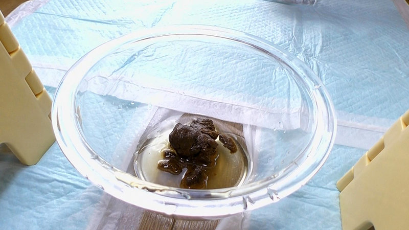 サンプル画像 6