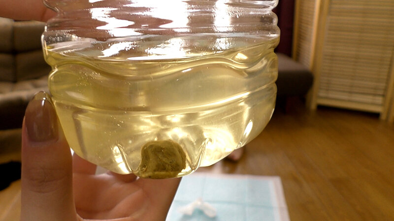 サンプル画像 7