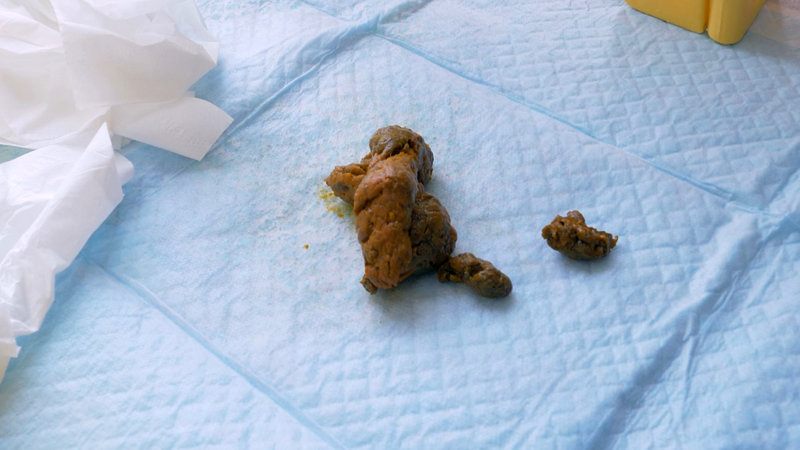 サンプル画像 11