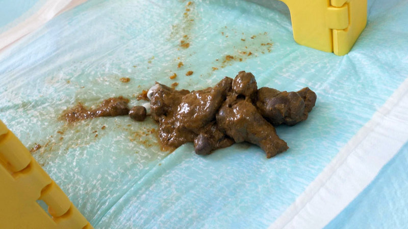 サンプル画像 11