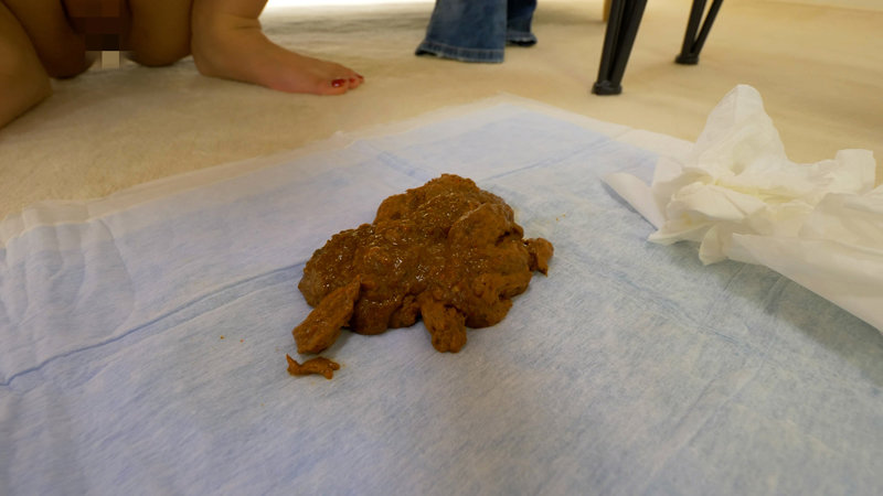 サンプル画像 11